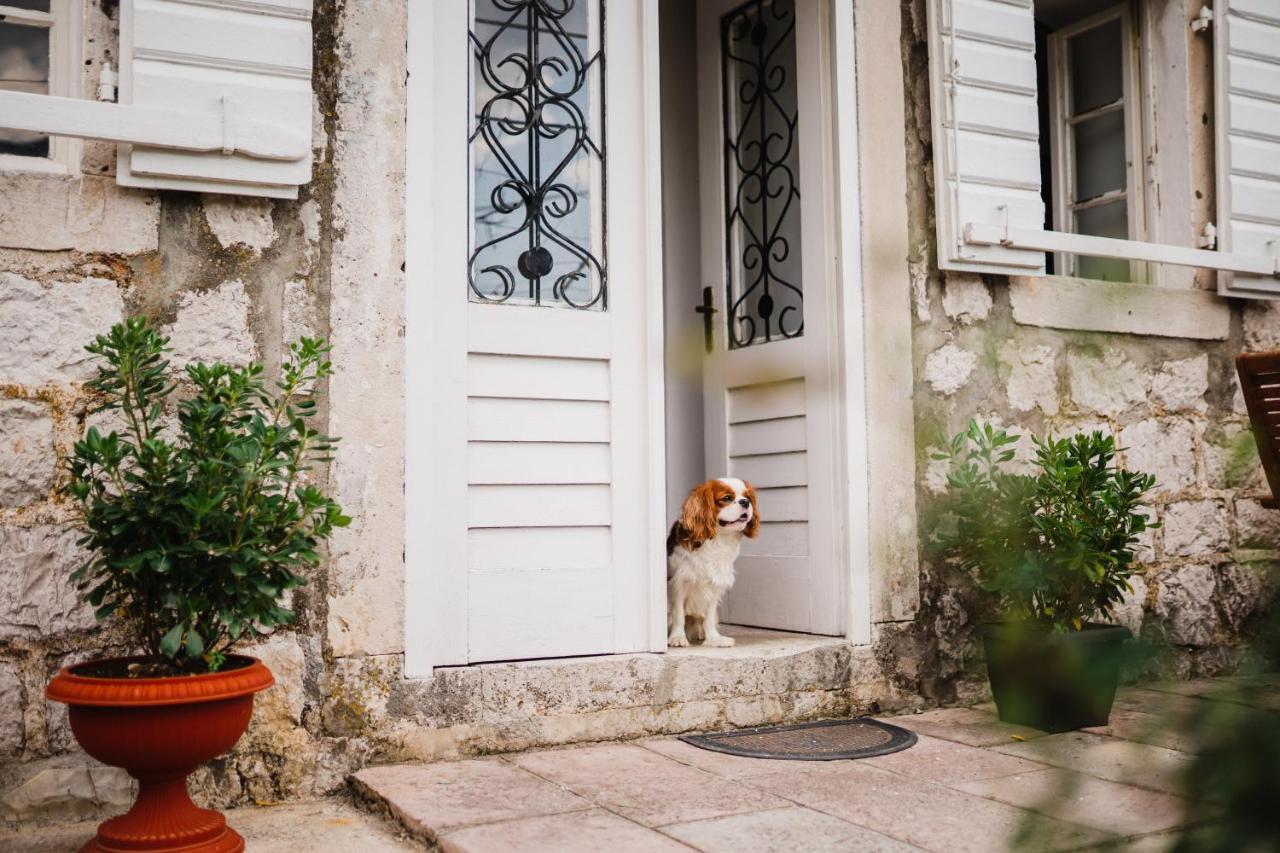 White Shutters House Villa Risan Exterior photo
